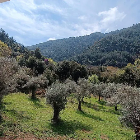 ヴィラ Evergreen Thassos スカラ・ポタミアス