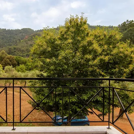 Villa Evergreen Thassos