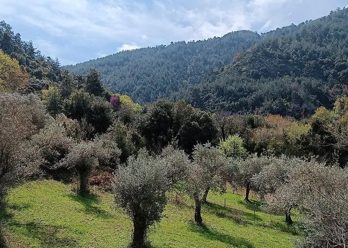Villa Evergreen Thassos Skala Potamia (Thasos)