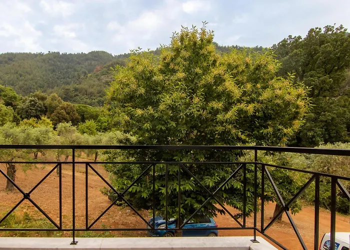 Villa Evergreen Thassos